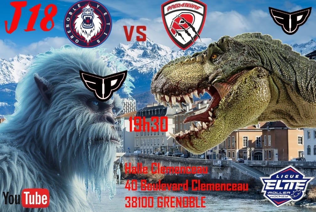 Match Elite : Grenoble vs Vierzon - J18