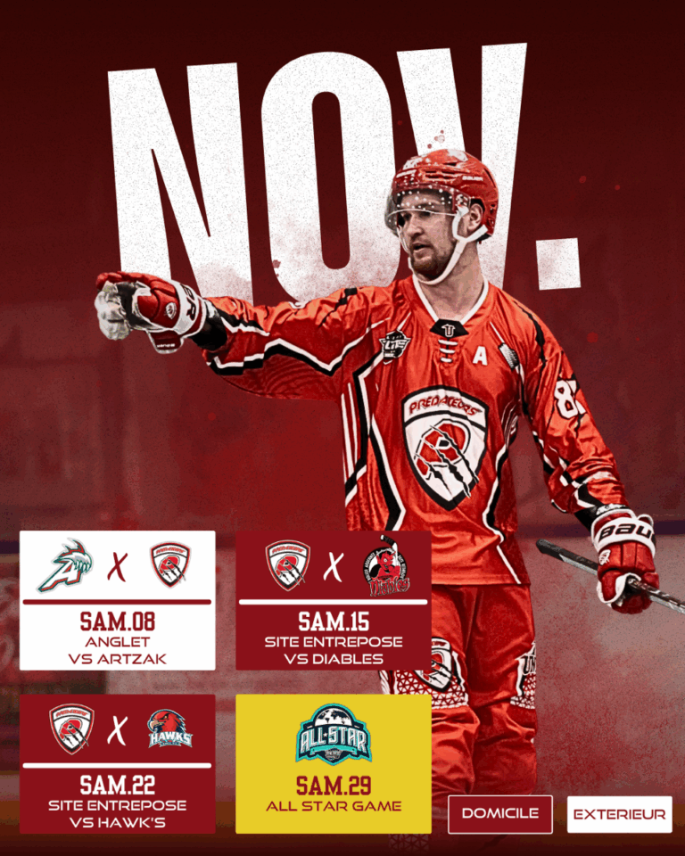 Image de présentation du calendrier de Novembre en elite 2025-2026 des prédateurs de Vierzon